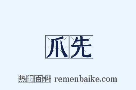 爪先是什么意思的图片